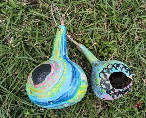 Gourds and Gardening Tips by Katya Blooms