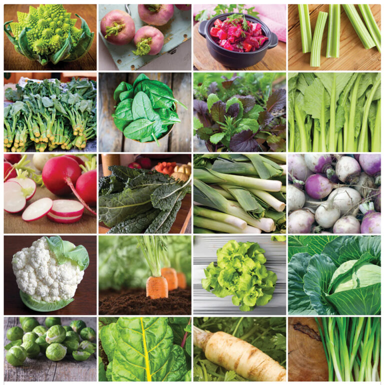 Starting Cool-season Vegetables Indoors in January for Early Spring Harvests