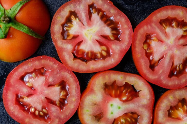 Starting Tomato Seeds Indoors in February