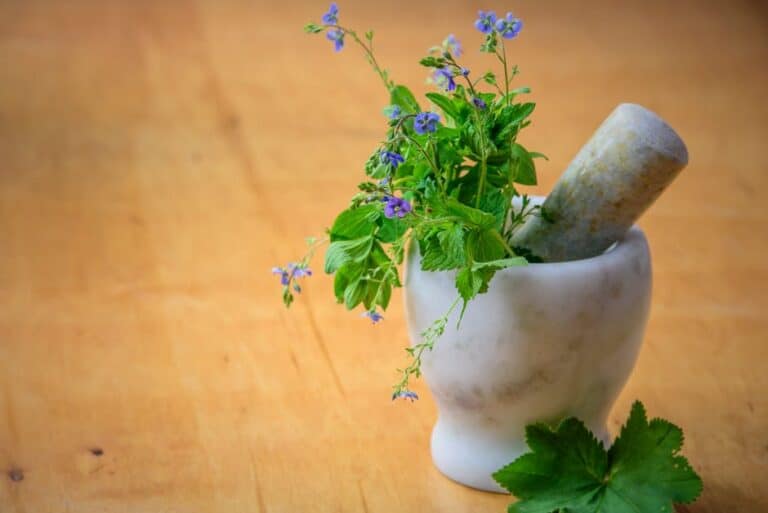 "how to Create a Productive Herb Garden in Small Containers"