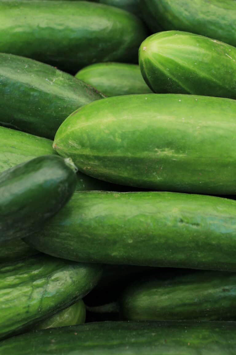 How to Grow Cucumbers