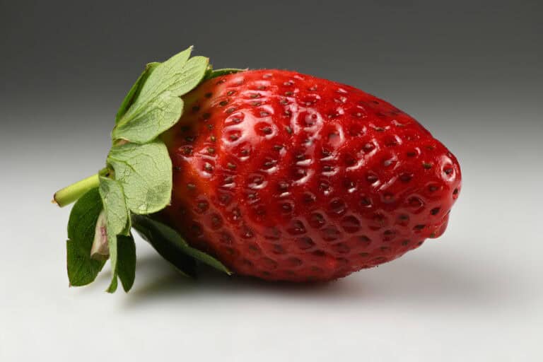 How to Grow Strawberries