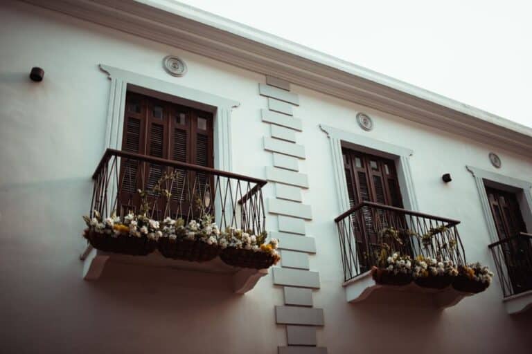 "how to Grow Lettuce in Window Boxes"